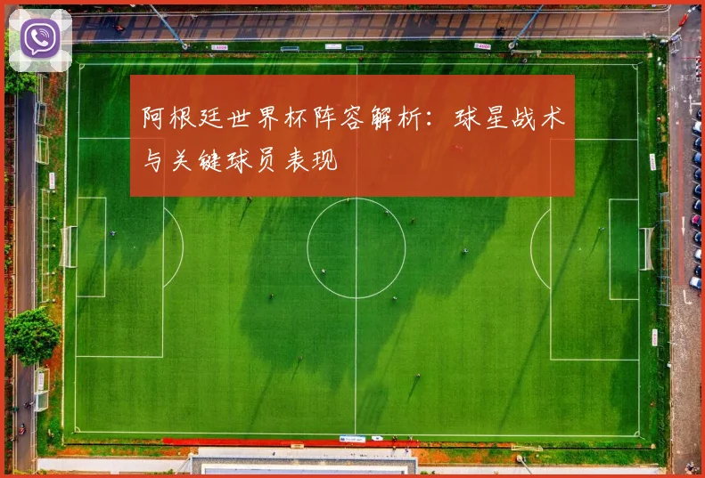 阿根廷世界杯阵容解析：球星战术与关键球员表现